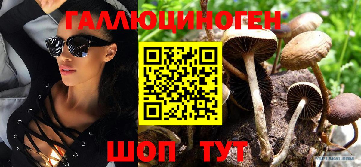 Галлюциногенные грибы ЛСД  Вход с VPN  Галлюциногенные грибы Cubensis  Тверь 