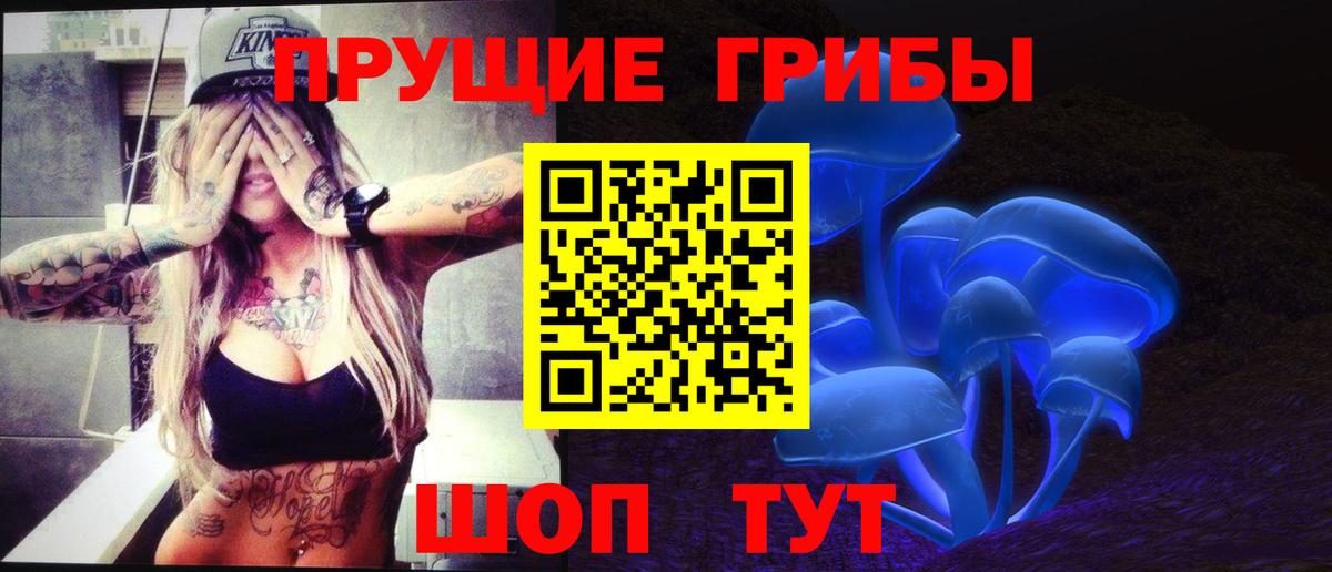 Галлюциногенные грибы Psilocybine cubensis Тверь